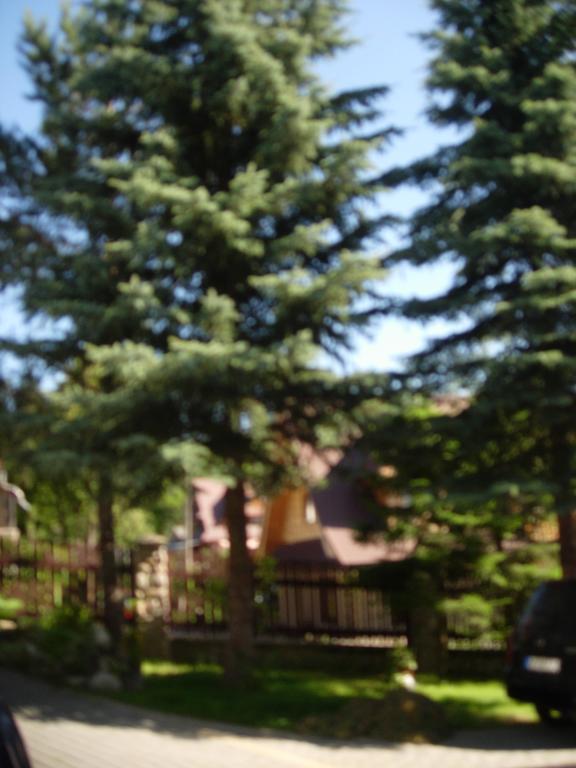 Pokoje Goscinne Koscielisko Az Somatic Homestay Koscielisko