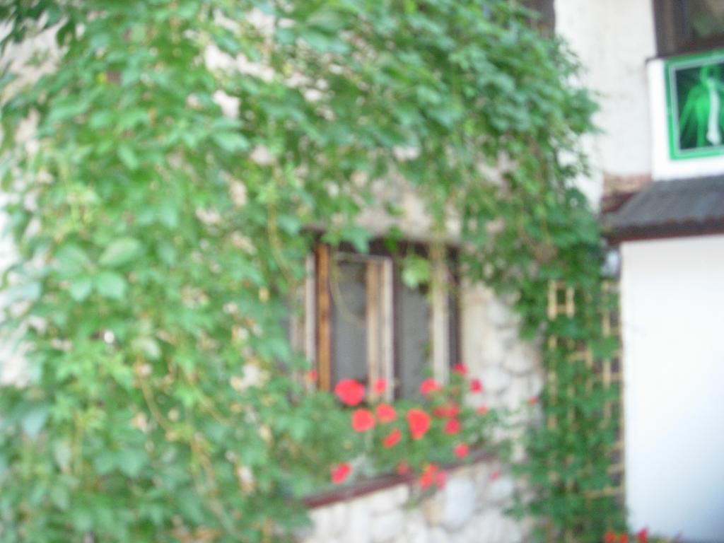 Pokoje Goscinne Koscielisko Az Somatic Homestay *