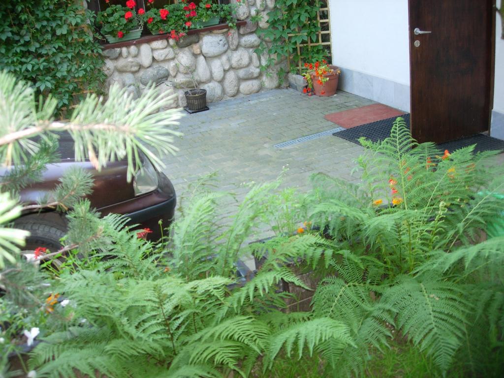 Pokoje Goscinne Koscielisko Az Somatic Homestay